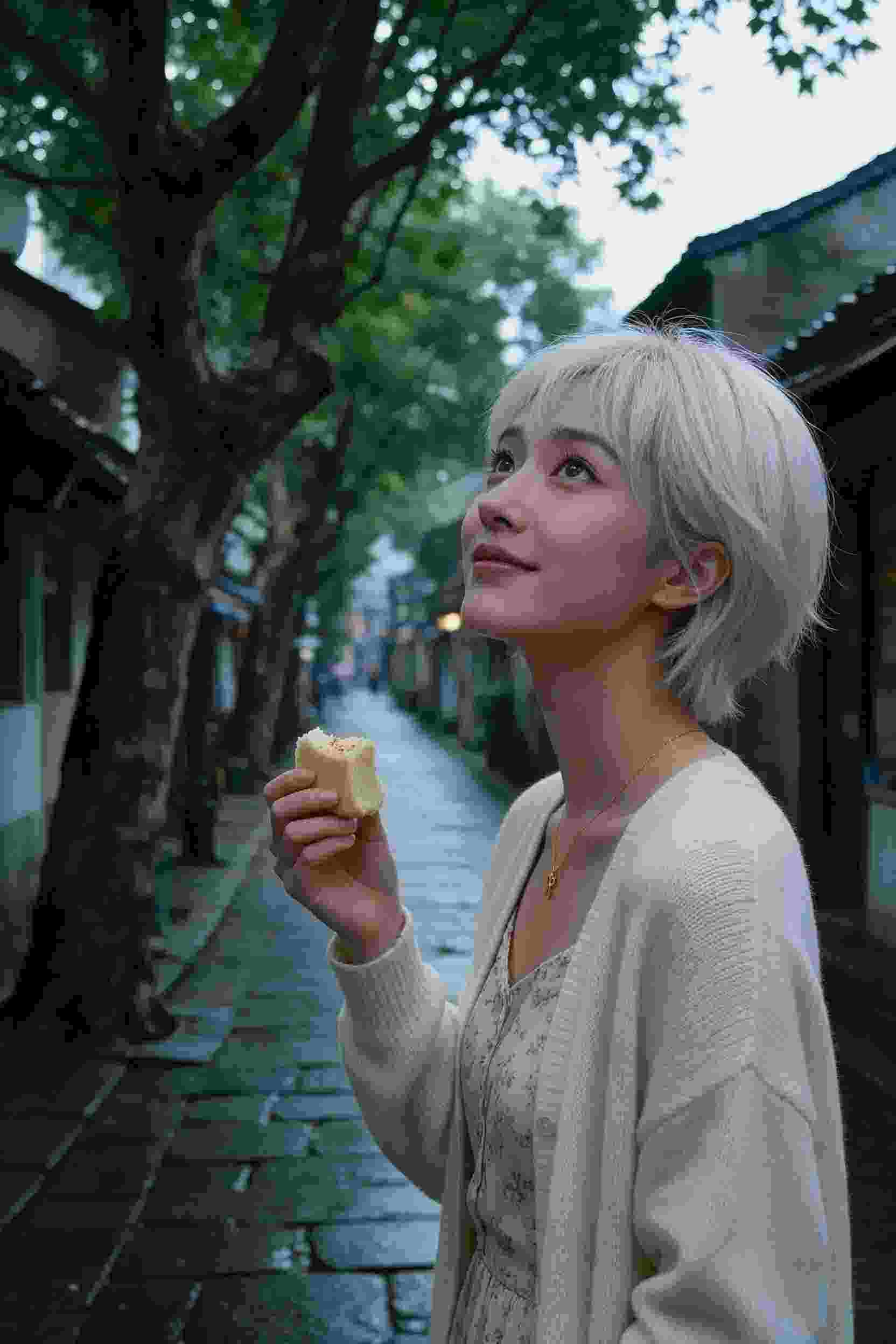 异世界大陆冒险